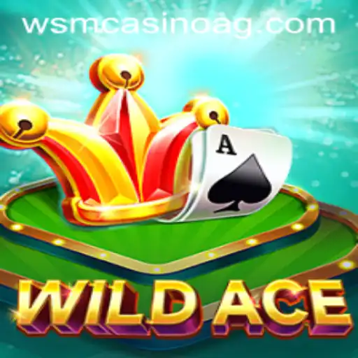 Discovering WildAce: The Thrills of the abc.bet App